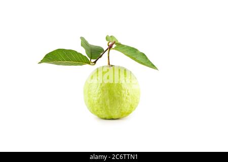 psidium guajava e foglia di guava su sfondo bianco frutta agricoltura cibo isolato Foto Stock