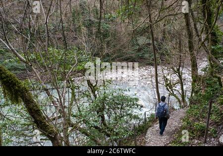 In inverno l'uomo anziano con uno zaino e in un cappello da baseball sta camminando lungo il fiume di montagna di Khosta tra alberi relict. Nel tasso e bosso g Foto Stock