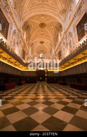 Interni del Monastero di nostra Signora dell'Assunzione 'la Cartujaa' Foto Stock