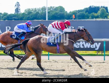 Il profumo guidato da Hector Crouch vince il Play 4 per vincere al Betway handicap all'ippodromo di Lingfield Park. Foto Stock