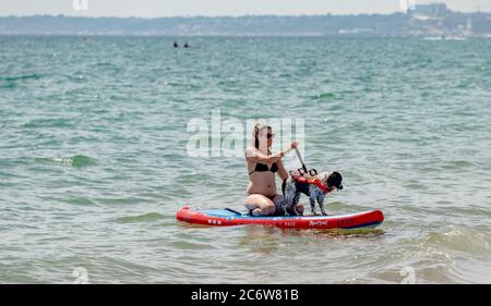 Christchurch, Regno Unito. Domenica 7 luglio 2020. Una giovane donna su una tavola da paddleboard con il suo cane. Credit: Thomas Faull/Alamy Live News Foto Stock