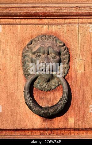 Batticalcagno in ottone vintage a forma di testa leone. Pisa. Italia. Foto Stock