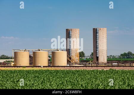 Kersey, Colorado - Silos si trova accanto ai serbatoi di stoccaggio del petrolio in una fattoria del Colorado orientale. Questa zona agricola ha visto un ampio sviluppo del petrolio, il reddito Foto Stock