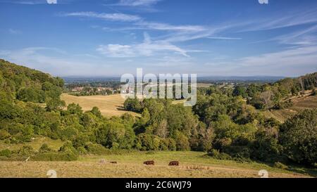 Sulla Devil's Dyke, vicino a Saddam Foto Stock