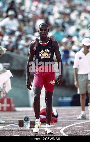 Carol Lewis (USA) si è disputato nel 1992 alle prove olimpiche e di squadra Foto Stock