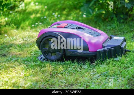 rasaerba robot rosa e nero sul prato Foto Stock