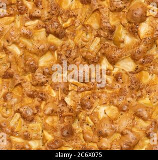 Consistenza senza cuciture di torta di mele, sfondo alimentare Foto Stock