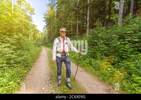 Anziano escursionista maschile all'inizio del suo tour su una strada sterrata nella foresta alla luce del mattino Foto Stock