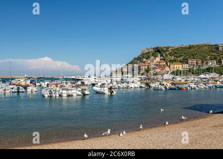 Gabbiani sulla spiaggia del porto turistico di Porto Ercole in una giornata di sole, Argentario, Italia Foto Stock