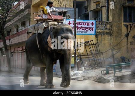 Jaipur, India - 21 ottobre 2012: Un giro domestico dell'elefante da un uomo su una strada occupata Foto Stock