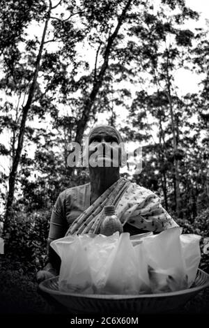 Una donna tamil che vende mango per vivere. Il Riverston Peak, situato sulle colline centrali dello Sri Lanka, è raggiungibile viaggiando per circa 178 km da Colombo. Riverston offre alcune delle migliori vedute della campagna circostante, nella misura in cui viene chiamata la fine del Mini mondo. La zona offre la bellezza naturale dello Sri Lanka; fresco, verde e non inquinato da venditori, turisti, rifiuti e edifici sgradevoli. Foto Stock
