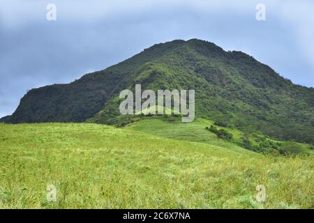 La vista bellissima non è mai stata vista. Il Riverston Peak, situato sulle colline centrali dello Sri Lanka, è raggiungibile viaggiando per circa 178 km da Colombo. Riverston offre alcune delle migliori vedute della campagna circostante, nella misura in cui viene chiamata la fine del Mini mondo. La zona offre la bellezza naturale dello Sri Lanka; fresco, verde e non inquinato da venditori, turisti, rifiuti e edifici sgradevoli. Foto Stock