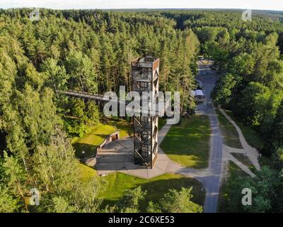 La torre di guardia sentiero Treetop a takas laju, Anyksciai, Lituania Foto Stock