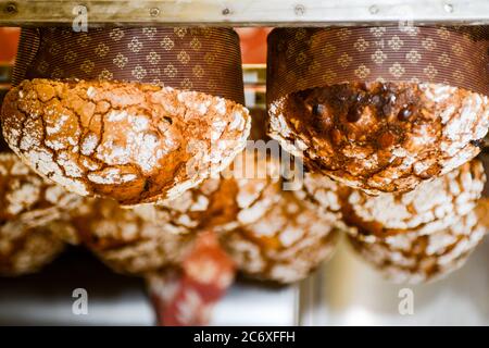 panettone appeso torte dolci natalizie italiane per completare la preparazione Foto Stock