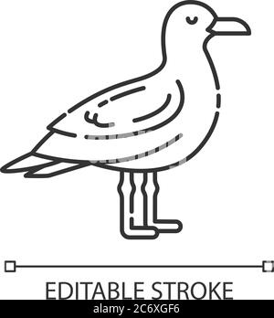 Icona lineare perfetta pixel Seagull. Comune seabird, normale animale volante. Spiagge abitante. Illustrazione personalizzabile su linee sottili. Simbolo del contorno. Ve Illustrazione Vettoriale