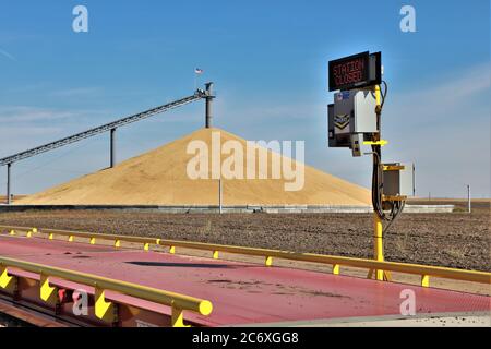 Grano nel sud-est di Washington che è immagazzinato nell'aperto a. Pesare stazione dopo non essere stato venduto in Cina a causa di Tariffe di Trump e degli Stati Uniti Foto Stock