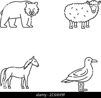 Set di icone lineari perfette per animali domestici e selvatici. Orso, gabbiano, cavallo e pecora simboli personalizzabili di linee sottili. Outli vettoriali isolati Illustrazione Vettoriale