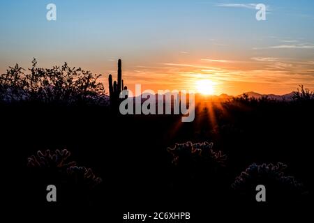 Tramonto del deserto Foto Stock