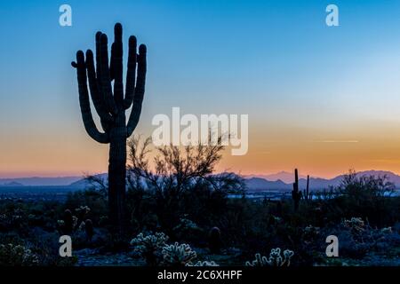 Tramonto del deserto Foto Stock