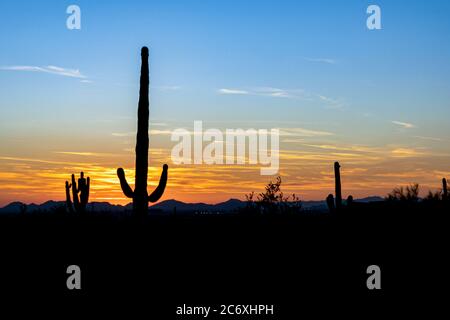 Tramonto del deserto Foto Stock