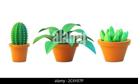 Vettore impostare cactus houseplant e succulente in pentola, vista realistica albero frontale. Illustrazione 3D verde di pianta interna isolata su sfondo bianco Illustrazione Vettoriale