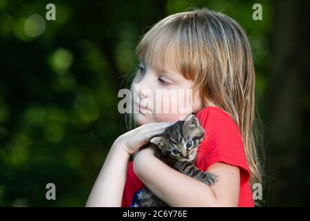 Una ragazza di cinque anni che tiene un gattino tabby all'aperto in estate con alberi sullo sfondo. Foto Stock