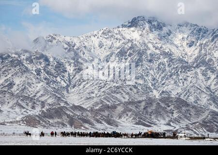 Scene di un villaggio Kok Boru match nel Chuy Oblast di Kirghizistan vicino capitale Bishkek. Foto Stock