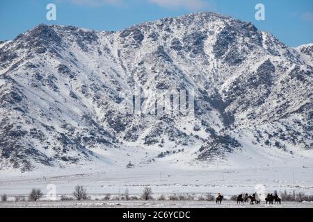 Scene di un villaggio Kok Boru match nel Chuy Oblast di Kirghizistan vicino capitale Bishkek. Foto Stock