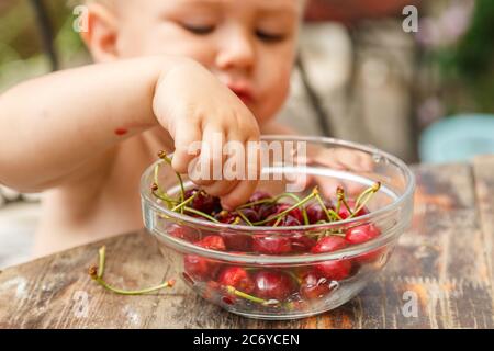 Bel ragazzo felice prendendo ciliegia dolce dal piatto, all'aperto in giardino Foto Stock