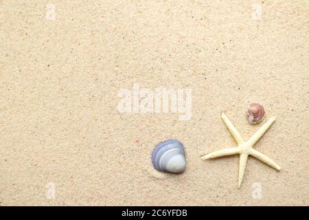 Vista dall'alto di stelle marine e conchiglie sulla superficie di sabbia liscia Foto Stock