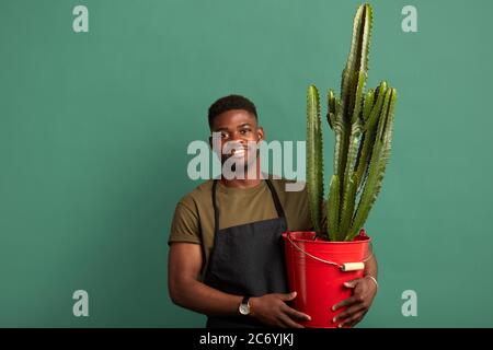 Sorridente agricoltore africano americano maschile fiorista vestito in grembiule in piedi con un grande cactus piantato in rosso secchio isolato sfondo verde Foto Stock