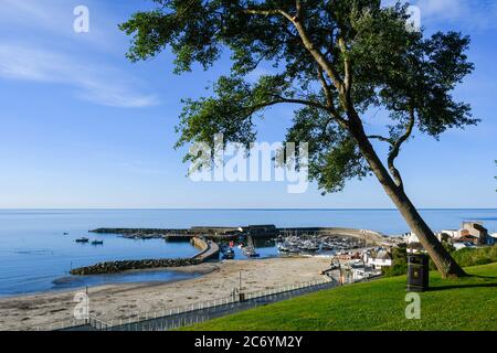 Lyme Regis, Dorset, Regno Unito. 13 luglio 2020. Regno Unito Meteo. Vista del porto di Cobb e la spiaggia dai Lister Gardens presso la località balneare di Lyme Regis in Dorset durante il sole della mattina presto. Immagine: Graham Hunt/Alamy Live News Foto Stock