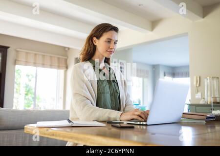 Donna che utilizza portatile a casa Foto Stock