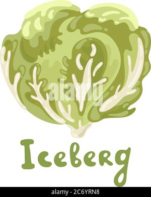 Lattuga iceberg. Vettore organico cute illustrazione alimentare. Ottimo per insegnare ai bambini l'alfabeto inglese con oggetti di verdure cartoon. Cavolo Illustrazione Vettoriale