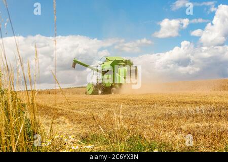 Bamberg, Germania 11 luglio 2020: Immagini simboliche - 2020 contadini alla raccolta del grano con la mietitrebbia su un campo di grano a Trosdorf vicino Bamberg, Deutz M34.80, | utilizzo in tutto il mondo Foto Stock