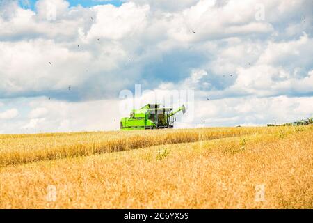 Bamberg, Germania 11 luglio 2020: Immagini simboliche - 2020 contadini alla raccolta del grano con la mietitrebbia su un campo di grano a Trosdorf vicino Bamberg, Deutz M34.80, | utilizzo in tutto il mondo Foto Stock