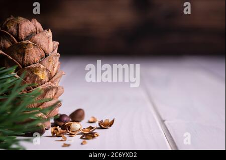 sfondo naturale con spazio vuoto per scrivere testo, noci di cedro con cono di pino primo piano su un tavolo di legno chiaro Foto Stock