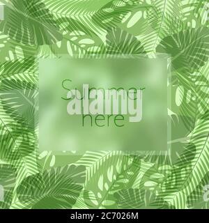 L'estate qui scritte in una cornice sullo sfondo di fresco tropicale foglie verde poster. Banner esotico Illustrazione Vettoriale