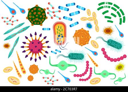 Set di icone di batteri virus. Illustrazione vettoriale a colori piatti di cartoon Illustrazione Vettoriale