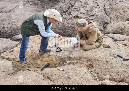 due archeologi o paleontologi in una spedizione sul campo discutono delle ossa antiche scavate da loro Foto Stock