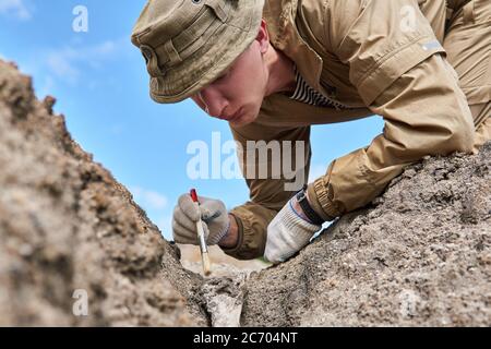 l'archeologo o paleontologo uomo pulisce delicatamente l'osso fossile trovato nel terreno con un pennello Foto Stock