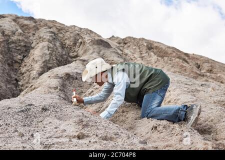 l'archeologo o paleontologo uomo pulisce il ritrovamento con un pennello nel deserto Foto Stock