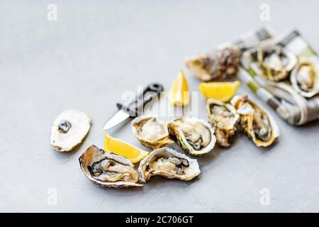 Ostriche fresche aperte da vicino su sfondo grigio con limone e ghiaccio a fette. Cibo di mare sano. Cibo gourmet. Disposizione piatta, vista dall'alto, mockup, sovratesta Foto Stock