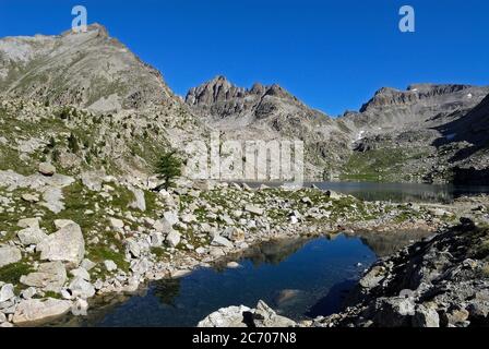 Lac Nègre nel parco nazionale del Mercantour in estate L'alta valle Vésubie Foto Stock