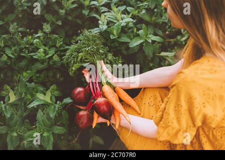 Verdure raccolto fresco raccolto da giardino sano stile di vita vegan cibo biologico barbabietola e carota mazzo eco friendly casa coltivata donna giardinaggio susta Foto Stock