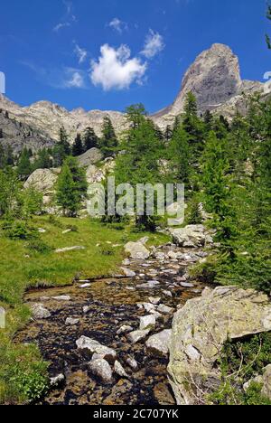 torrente di montagna nel Caïres de la Cougourde, nel Parco Nazionale del Mercantour, nella Haute Vésubie in Francia Foto Stock