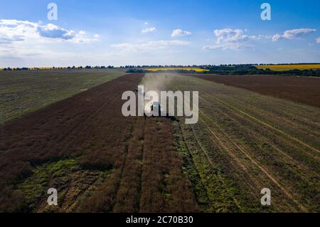 Mietitrebbia moderna che lavora su un prodotto di grano. Colpo di drone! Foto Stock