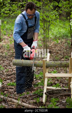 Cesoia per legno asseman in lavorazione fusto di albero di taglio uniforme su sega a motosega Foto Stock