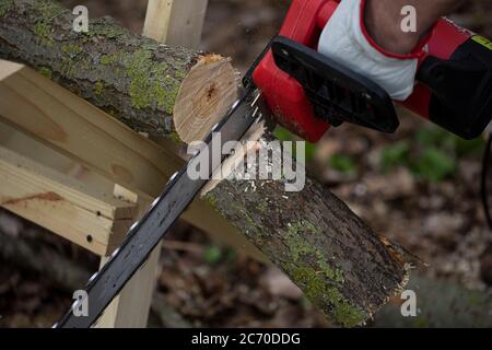 Primo piano di sega di legno tronco di albero su sewhorse, segatura volare ai lati Foto Stock