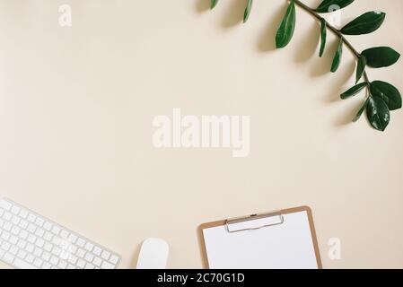 Tavolo da lavoro in stile minimalista. Computer, carta per appunti e un ramo di una pianta verde su uno sfondo beige chiaro con copia dello spazio. Piatto la Foto Stock